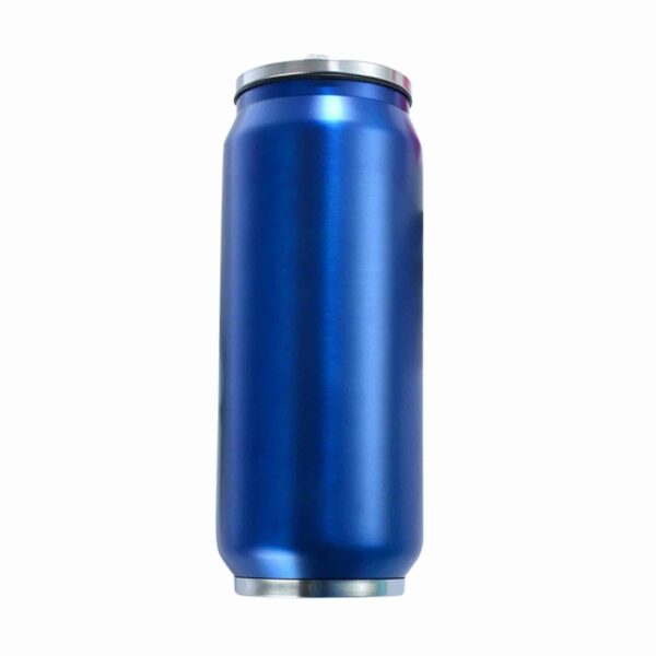 Double Wall Can Style Bottle 500ml 17.5oz