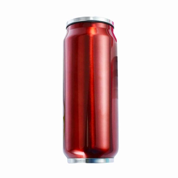 Double Wall Can Style Bottle 500ml 17.5oz