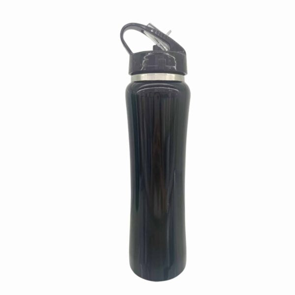 Double Wall Sports Style Bottle 600ml 20oz