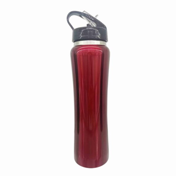 Double Wall Sports Style Bottle 600ml 20oz