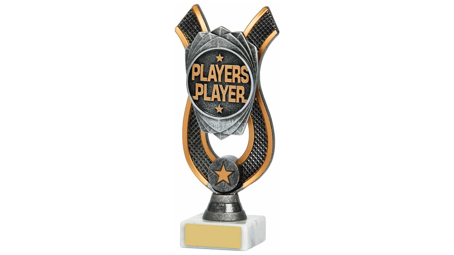 Players Player Award