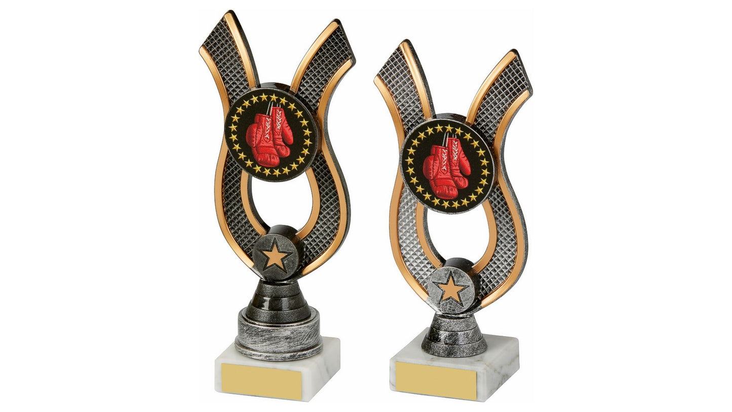 Antique Silver Ribbon Award - Boxing