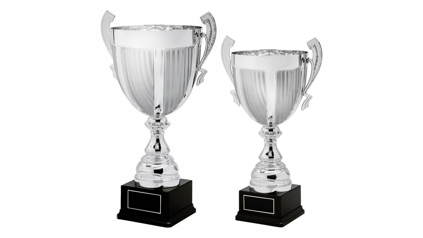 Silver Presentation Cup With Handles