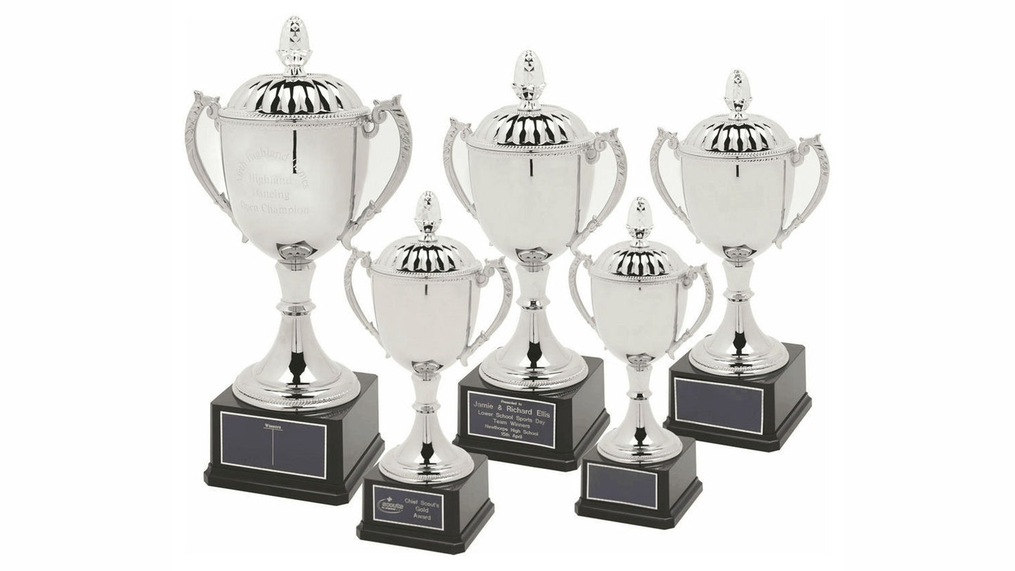 Classic Nickel Plated Cup with Lid