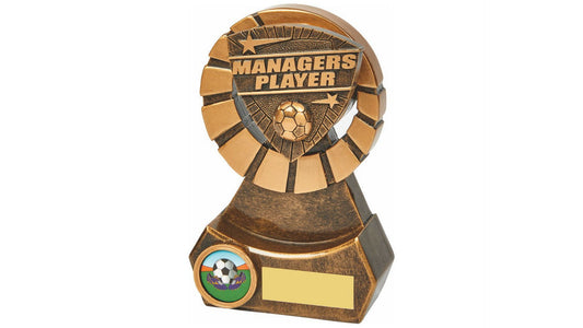 Managers Player Resin Award