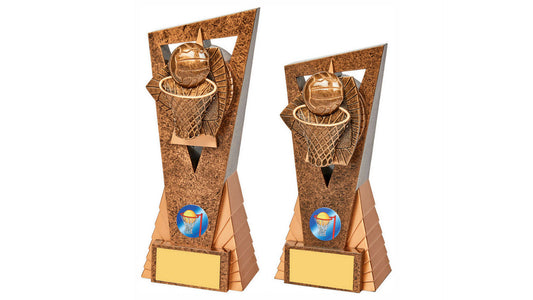 Antique Gold Netball Edge Trophy