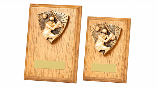 Cricket Batsman Wood Plaque