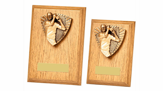Cricket Bowler Wood Plaque Male