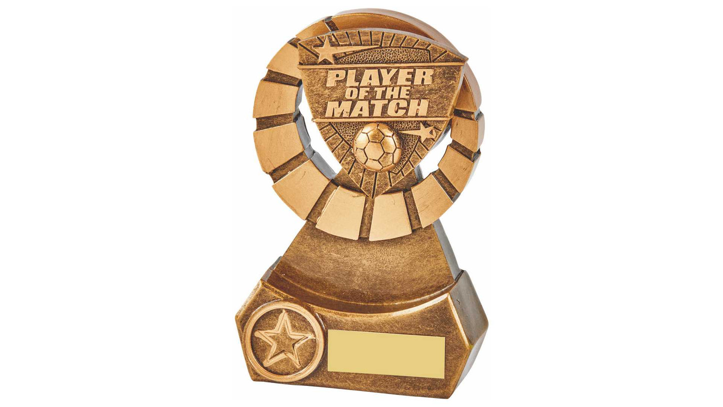 Player of the Match Resin Award