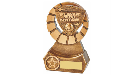 Player of the Match Resin Award