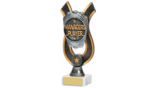 Managers Player Award