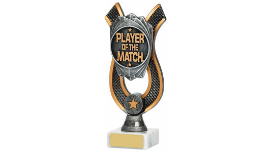 Player of the Match Award