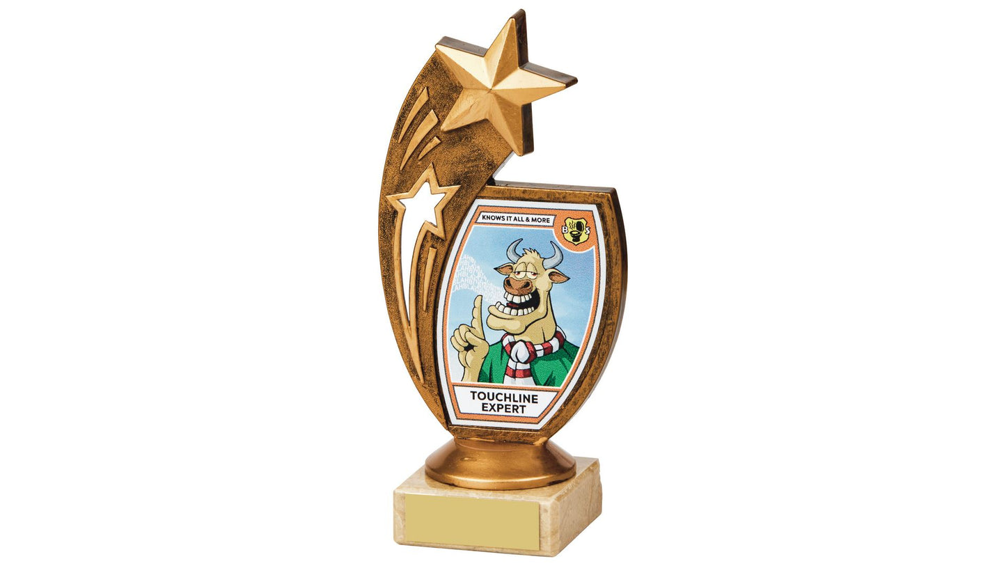 "Touchline Expert" Fun Award