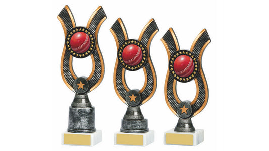 Antique Silver Ribbon Cricket Ball Award
