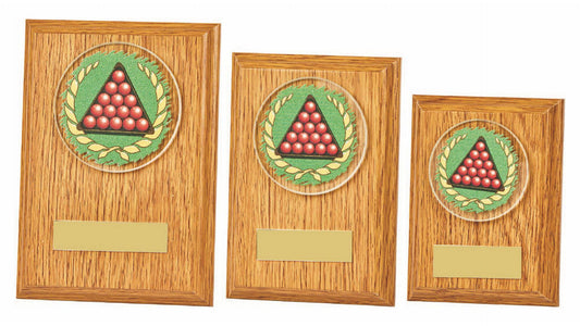 Light Oak Plaque - Snooker