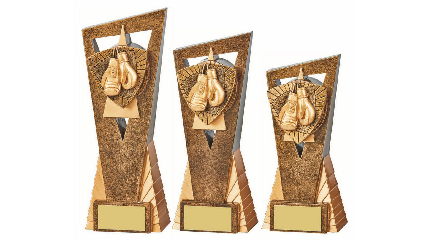 Antique Gold " Edge" Boxing Award