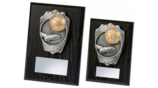 Antique Silver Boot/Ball, Black Wood Award