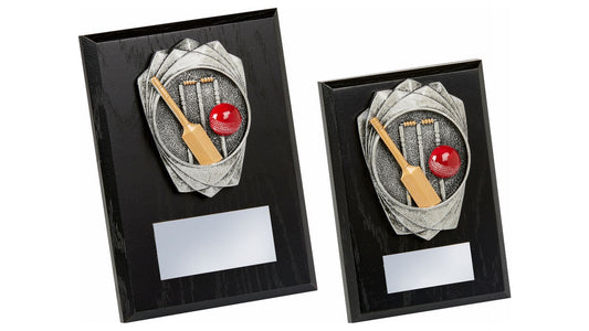 Antique Silver Cricket Stumps, Black Wood Award