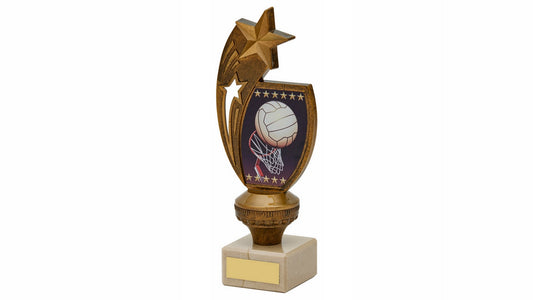 Antique Gold Netball Trophy
