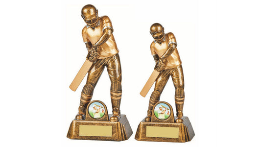 Resin Cricket Male Batsman Award