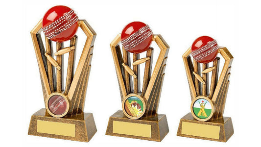 Resin Cricket Wicket Award with Red Ball