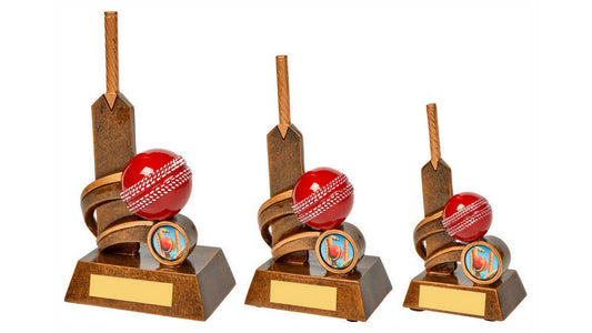 Resin Cricket Bat Trophy with Red Ball