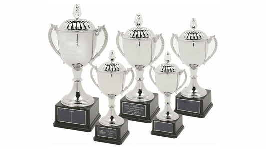 Classic Nickel Plated Cup with Lid