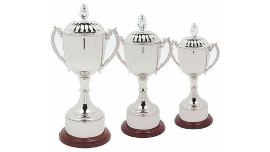Nickel Plated Cup with Lid & Plinth Band