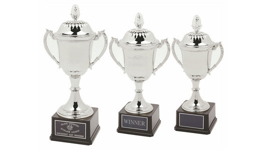 Nickel Plated Cup on Black Weighted Base with Lid